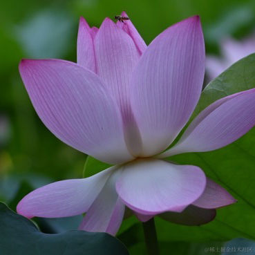 半夏1024于2023-07-17 09:18发布的图片