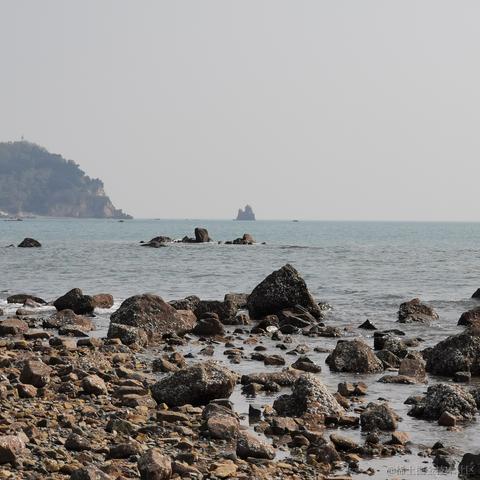 还有头发的萝卜头于2022-10-22 18:57发布的图片