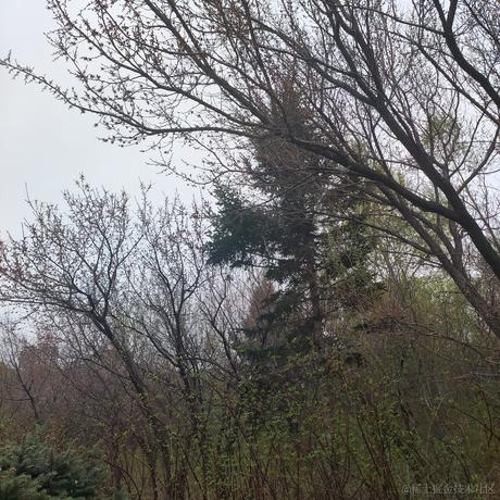 琥鱼于2023-05-03 16:56发布的图片