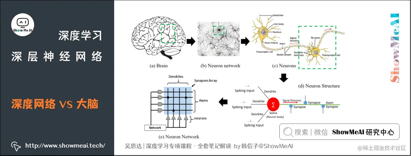 深度网络 VS 大脑
