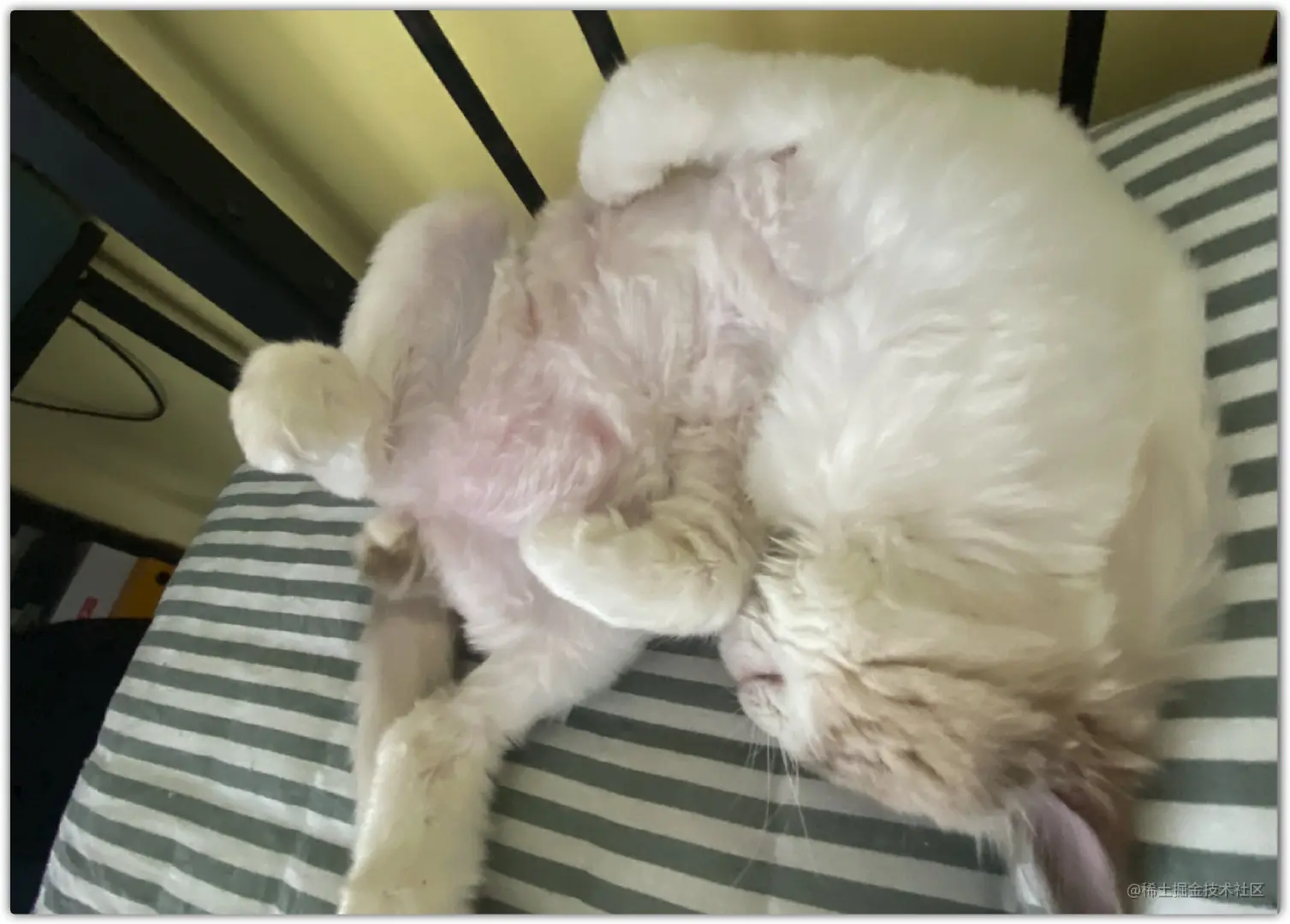 image-20210815173445387