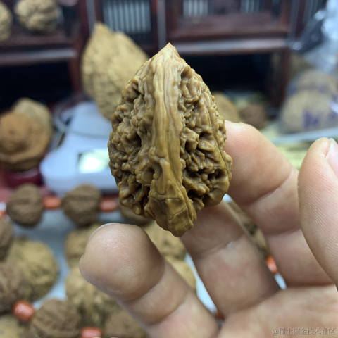 篮采核于2023-02-12 00:57发布的图片