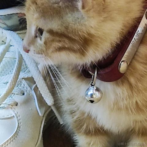 糯香香普洱于2022-11-27 10:40发布的图片