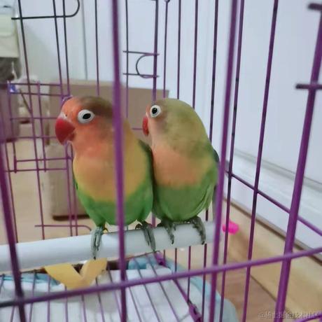 BUG高级开发工程师于2021-07-15 15:29发布的图片