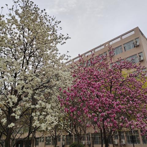 从0开始的go世界于2023-04-16 21:36发布的图片