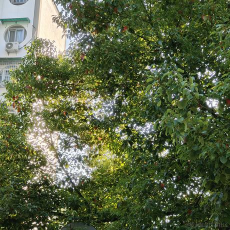 乃琳艾琳困于2022-11-10 08:23发布的图片