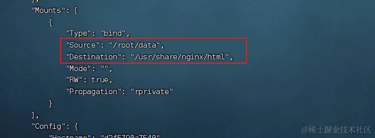 image-20240215104224393