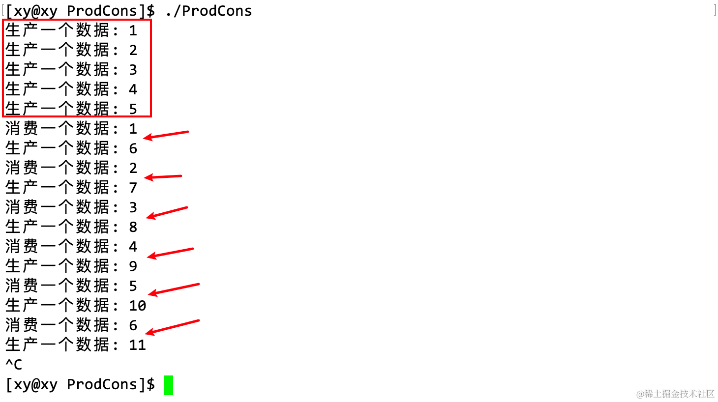 image-20230416224223010