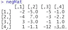 matrix containing negative numbers