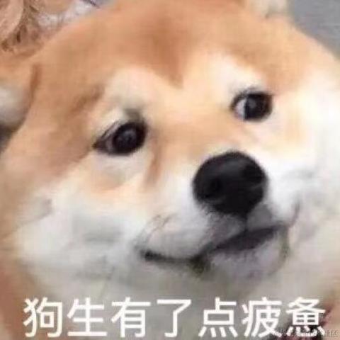 or_so于2020-12-03 11:26发布的图片