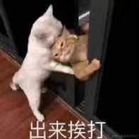 Li_Cat001于2021-11-03 14:49发布的图片
