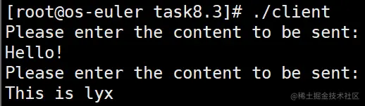 image-20211226195203276