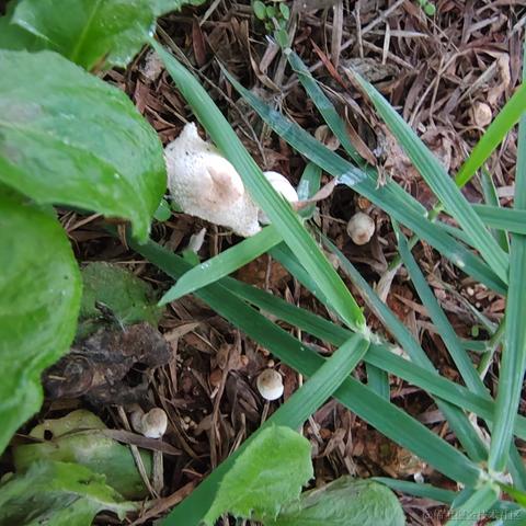 Uwiling于2022-12-01 21:16发布的图片