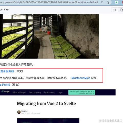 程序员凌览于2023-02-10 16:37发布的图片