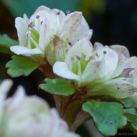 胖胖的小奶龙于2024-03-30 14:06发布的图片