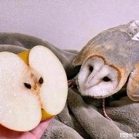 我自横刀向天笑于2022-12-11 15:52发布的图片