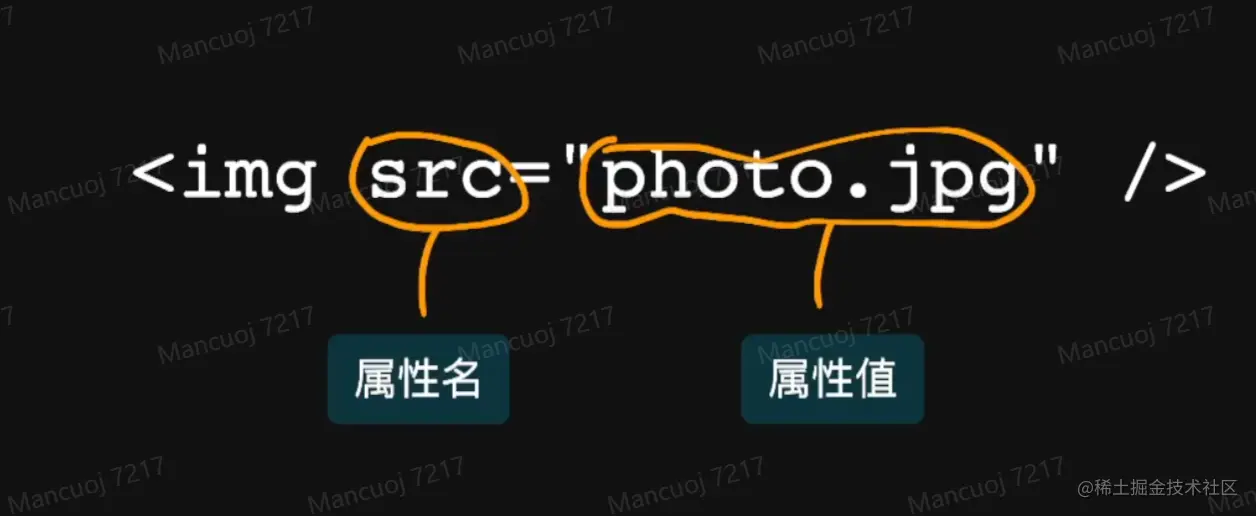 image-20220116093924613