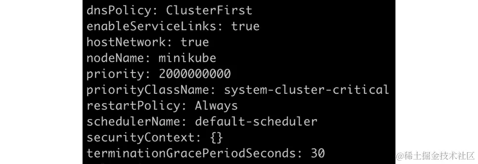 图 17.11：获取有关 etcd-minikube Pod 的信息