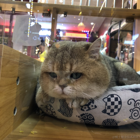 Remember_r于2022-11-14 08:48发布的图片