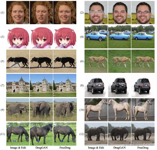 图 5 DragGAN 和 FreeDrag 在更多场景下的对比图