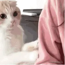 _ZW$55A8PHP)%8HW6RVRV2E.gif