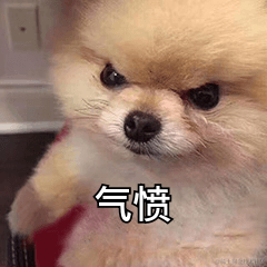 命运魔方1314于2022-03-10 17:52发布的图片