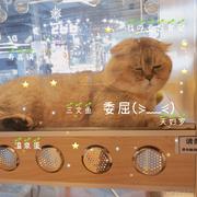 小丑迷妹的个人资料头像