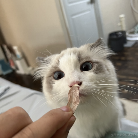 子虚乌有的客人于2022-06-19 12:13发布的图片