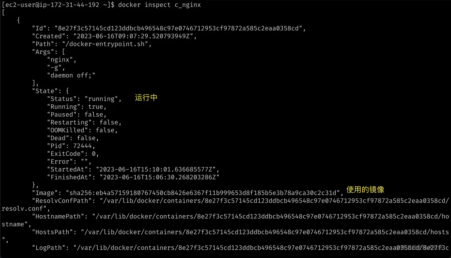 docker-inspect.png