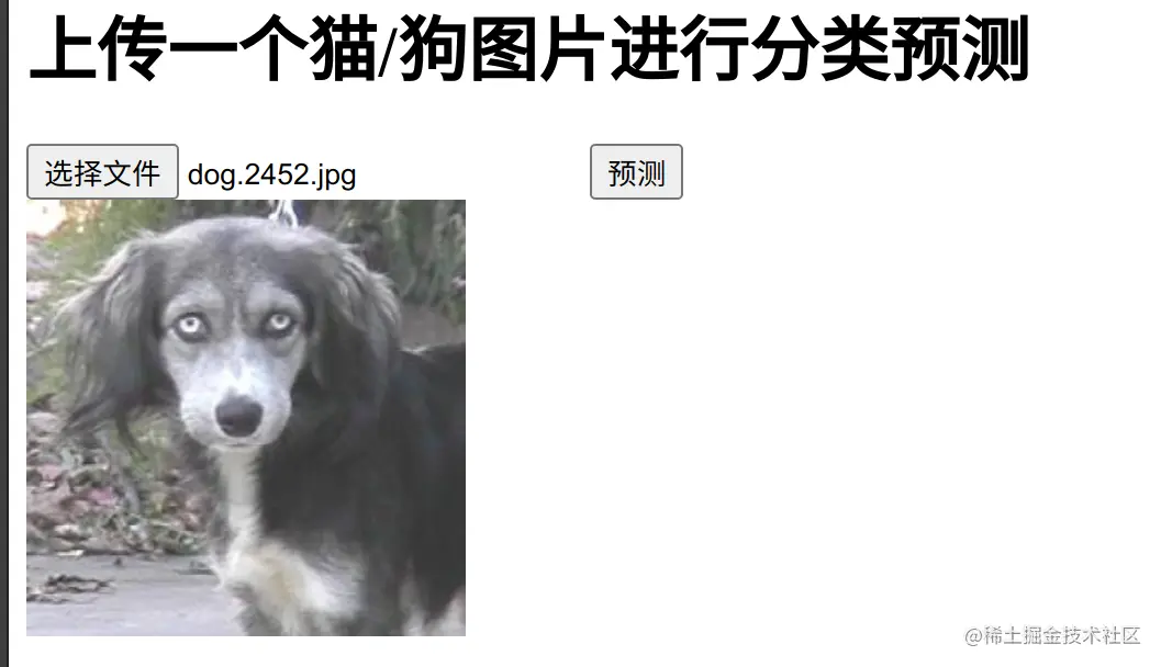 image-20220318124735599
