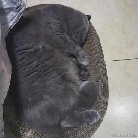 用户2365517671447于2022-11-10 21:50发布的图片