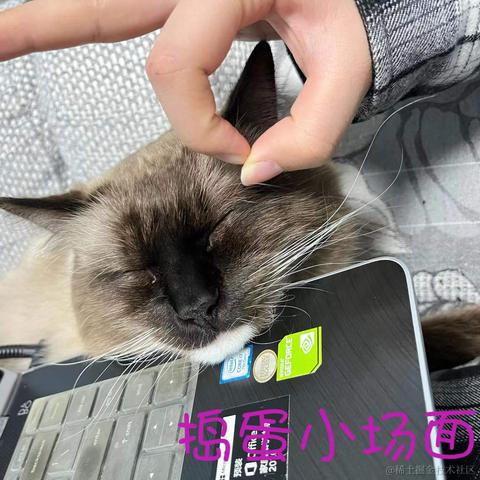 小鲸鱼mm于2022-01-05 16:02发布的图片