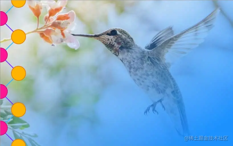 An Anna’s Hummingbird with its beak in a flower with a gradient fade to blue, with a repeating pattern along the left side of the image consisting of orange and pink circles connected by blue and purple lines on a white background.