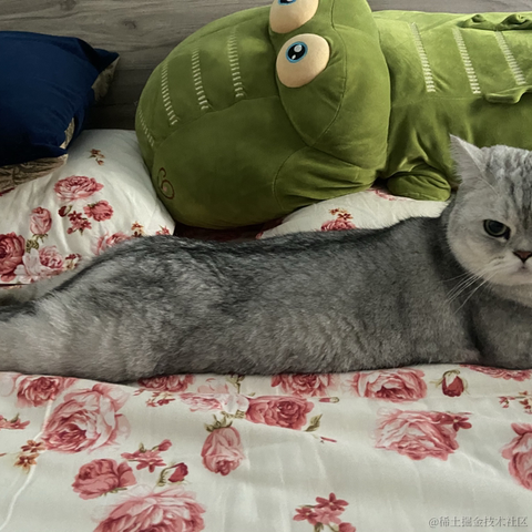 Lz_heng于2022-11-02 09:16发布的图片