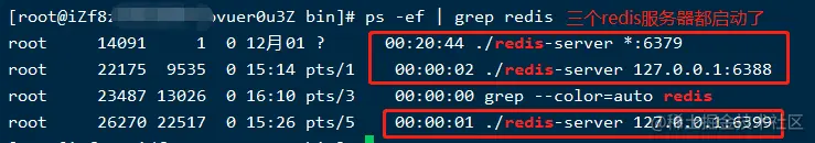 image-20201217161153175