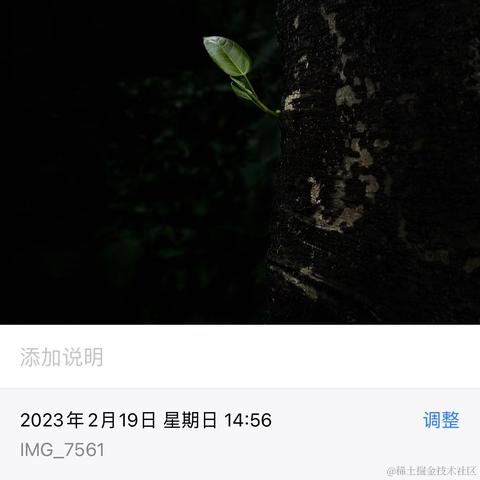 _一杯冰美式_于2023-03-01 14:42发布的图片
