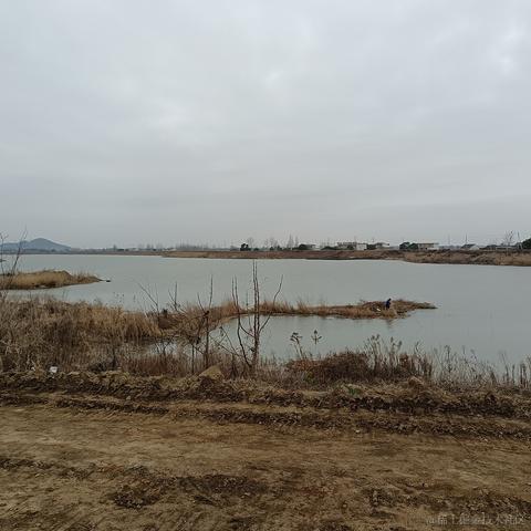 因风于2023-01-26 21:13发布的图片