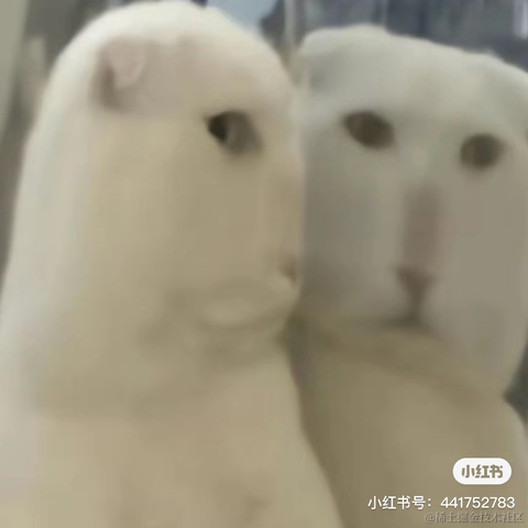 婉婉啊于2023-06-15 17:46发布的图片