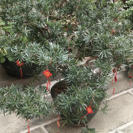 专业填坑户于2023-01-26 11:41发布的图片