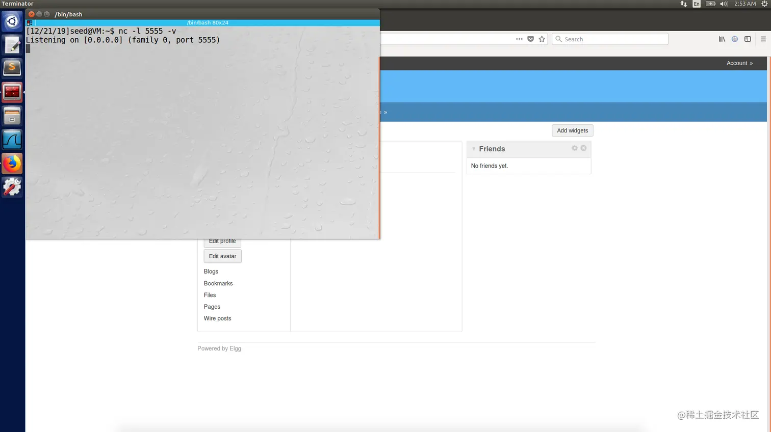 image-20191221155342681
