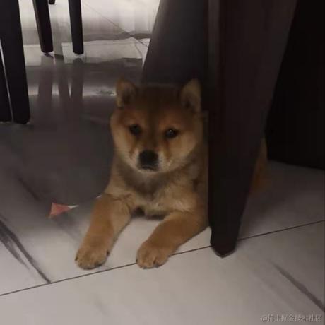 寺山丽子于2022-11-14 11:45发布的图片