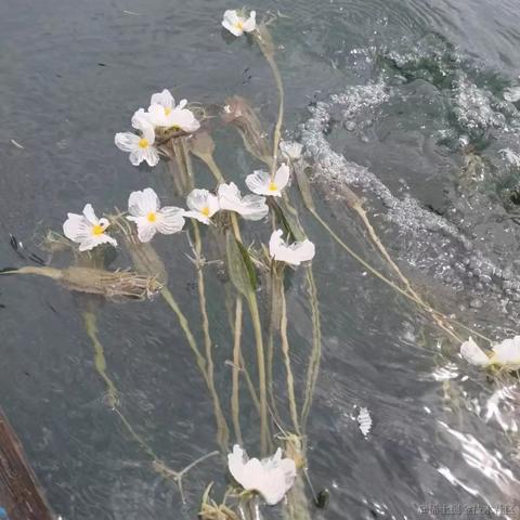 汽水味的小盆友于2022-11-15 23:34发布的图片