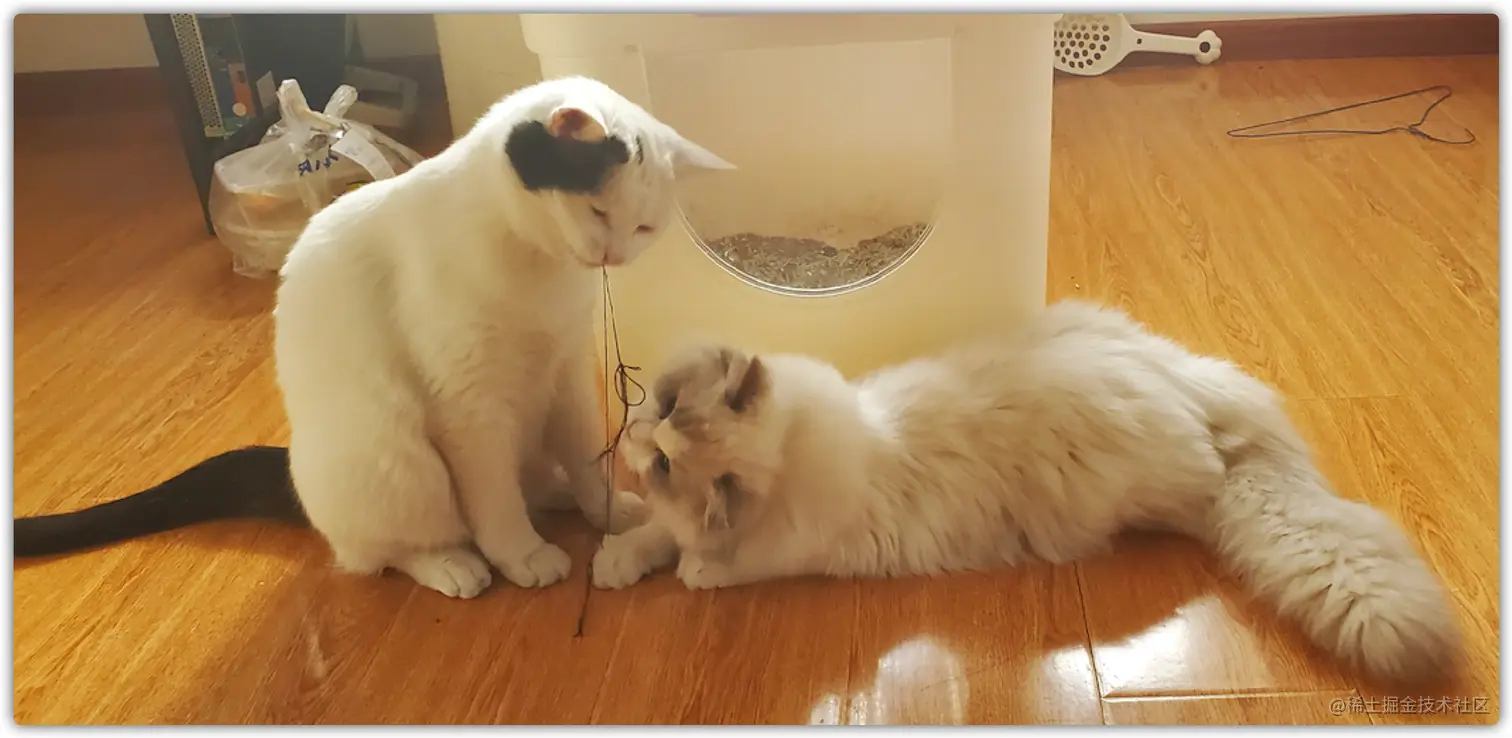 image-20210815171020643