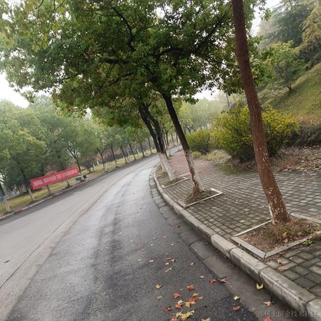 铁血贝极星于2022-11-21 09:06发布的图片