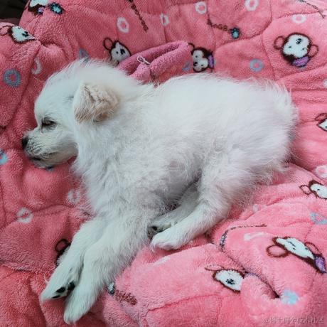 我爱贝拉啊啊啊啊啊于2022-12-29 08:51发布的图片