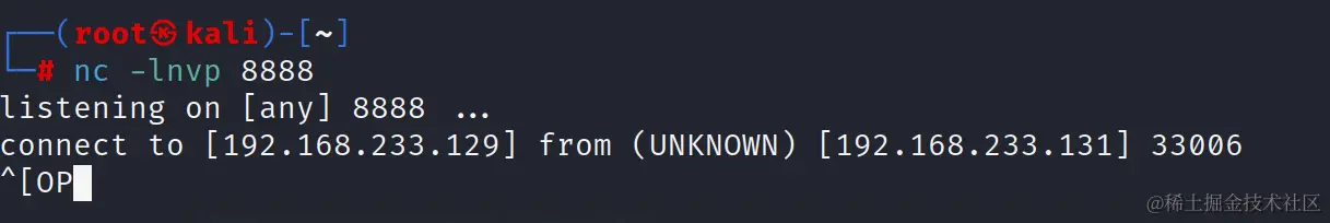 image-20230703204816477