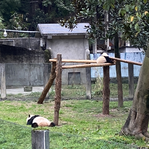 可笑12138于2023-03-19 14:32发布的图片