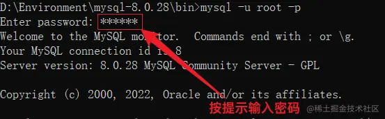 image-20220210155109487