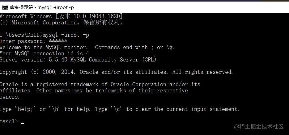 image-20220403205259042