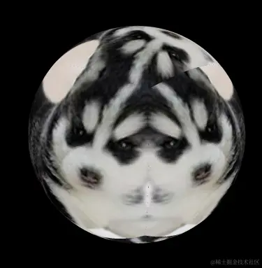 image-20230925164655962